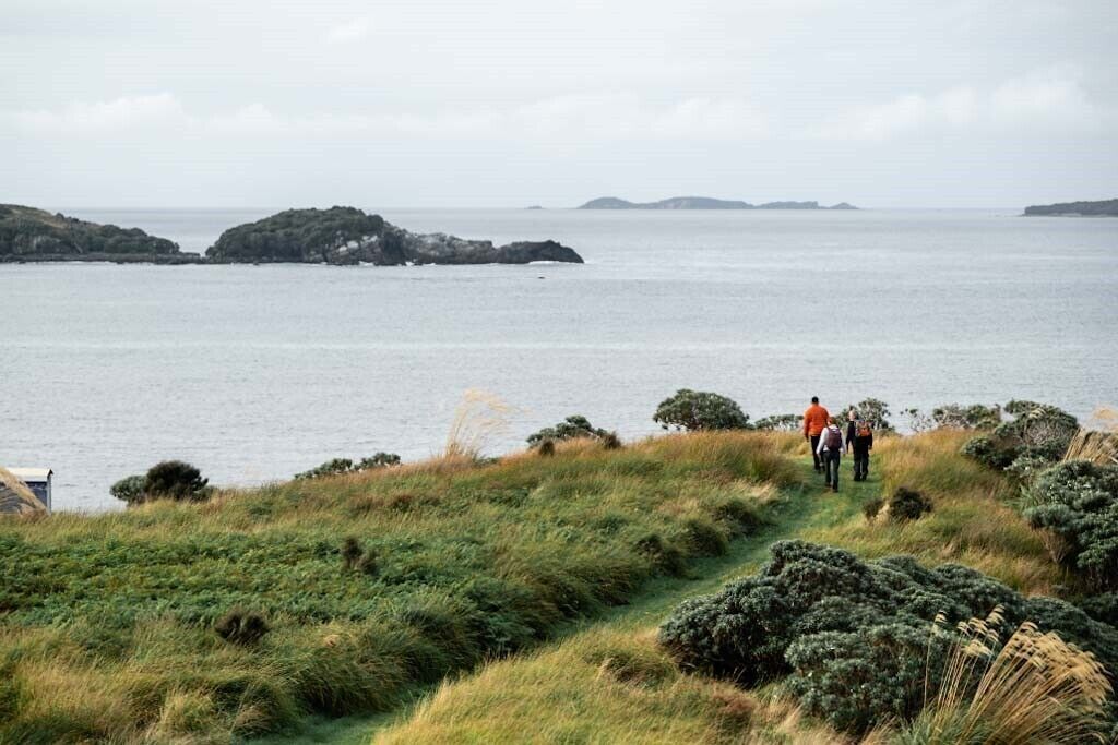 Stewart Island Wilderness Walk
