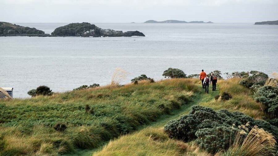 Stewart Island Wilderness Walk