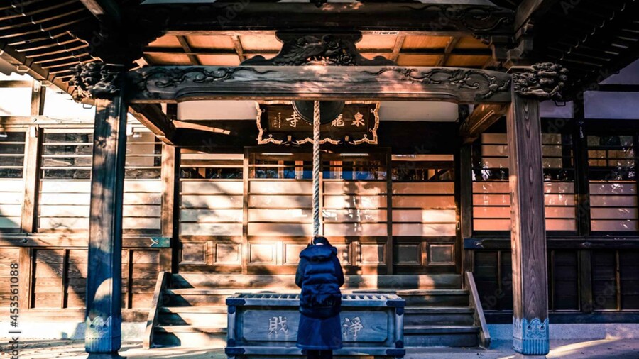 Exciting Goshuin Collection Trip by Car in Tokyo!