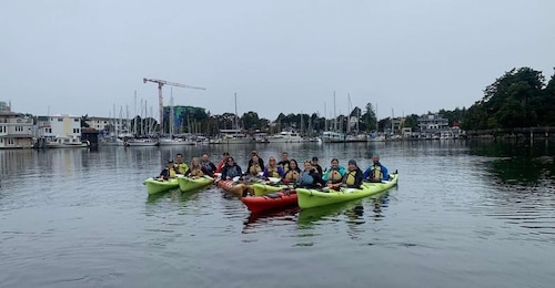 Victoria: Guided Kayak Tour Adventure