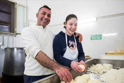 Cinisi: Milking and experience with fomaggi in a dairy.