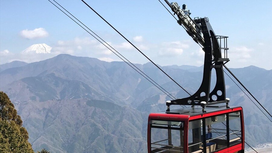 3-hour walking tour of Kuonji Temple with Minobu Ropeway
