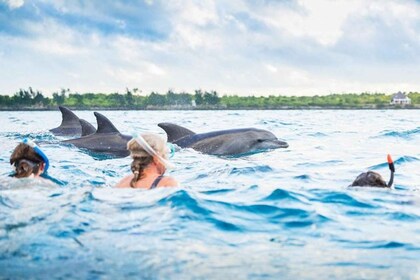 Zanzibar 4 Days 3 Nights Package