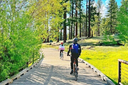 Cykeluthyrning i South Lake Tahoe