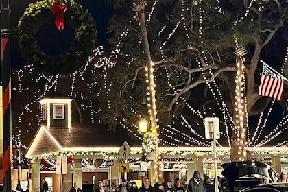 Nights of Lights Private Golf Cart Tour for up to 5 people!