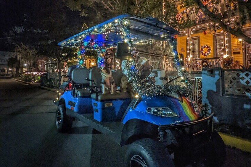 Nights of Lights Private Golf Cart Tour for up to 5 people!