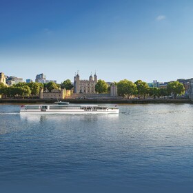 London: Official Tower of London River Tour