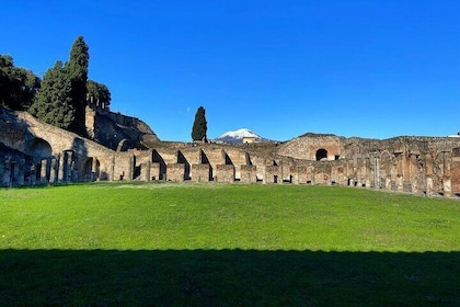 Half-Day Tour in Pompeii with Pick Up