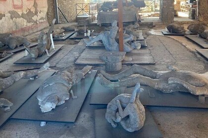 Exclusive Half-Day Tour in Pompeii with skip the line tickets