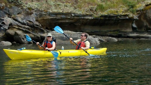 Eastsound: Guided Sucia Island Kayak Tour & Day Trip
