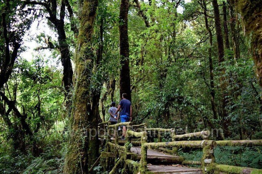 Angkha Nature Trail