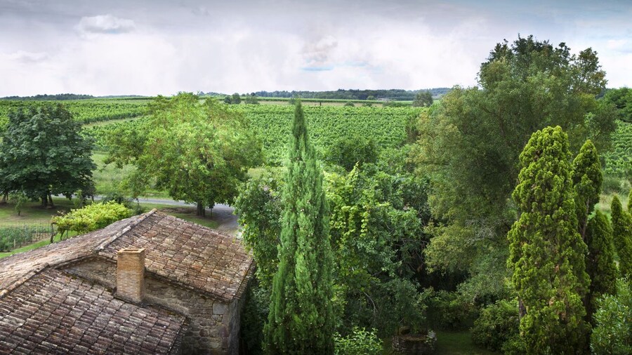 Saint Émilion Wine Village & Countryside Ride