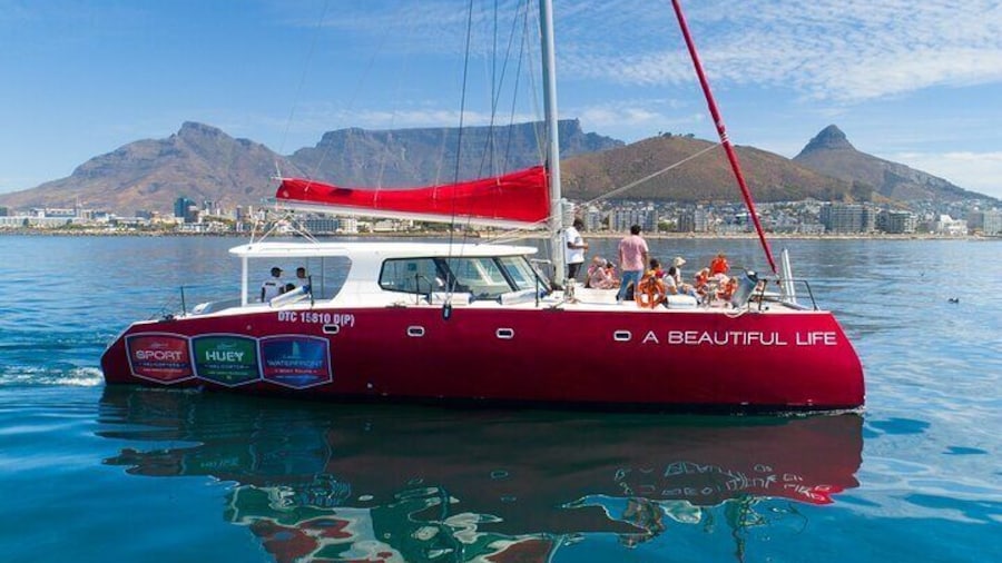 1- Hour Catamaran Cruise Cape Town