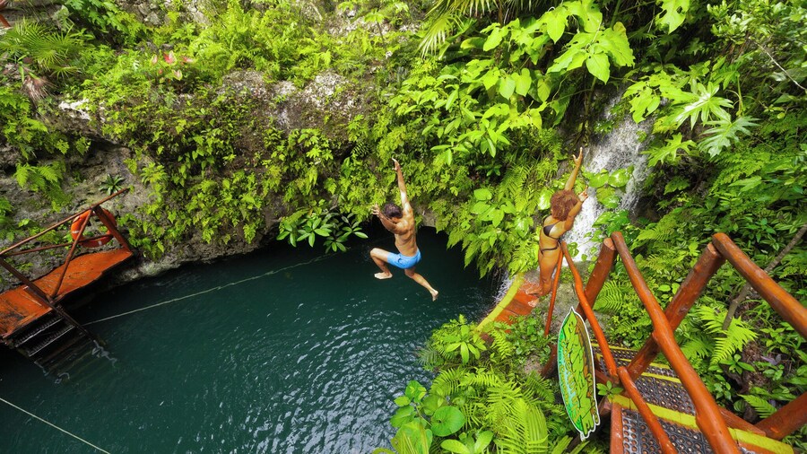Dive Into Paradise: Cenote Tour