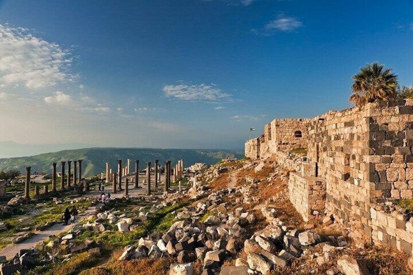 Private FullDay Tour Jerash Ajloun & Um Qais 