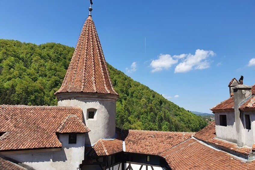 Visit Dracula Castle from Bucharest in 7 hours Private Tour Drop off to Airport