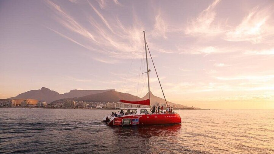 Catamaran Sunset Champagne Cruise Cape Town