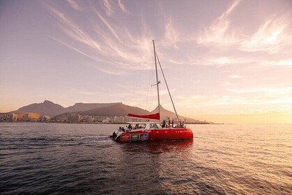 Catamaran Sunset Champagne Cruise Cape Town