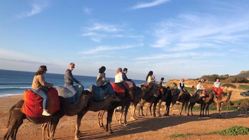 From Tarifa: Tangier full day Trip with guide