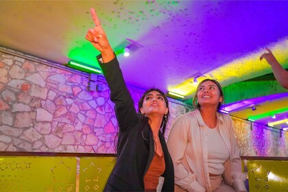 San Antonio Premium Night Driving Tour with Dinner & Cruise