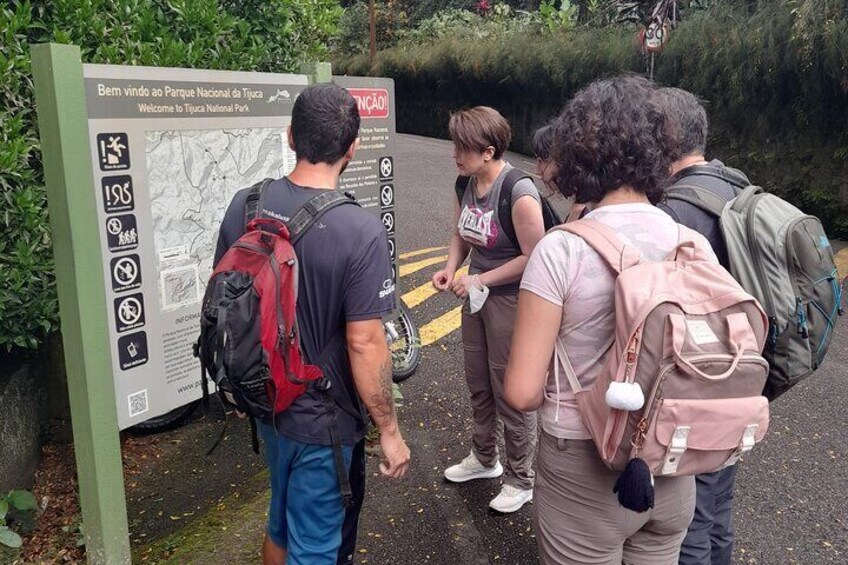 Private Hiking in Tijuca National Park