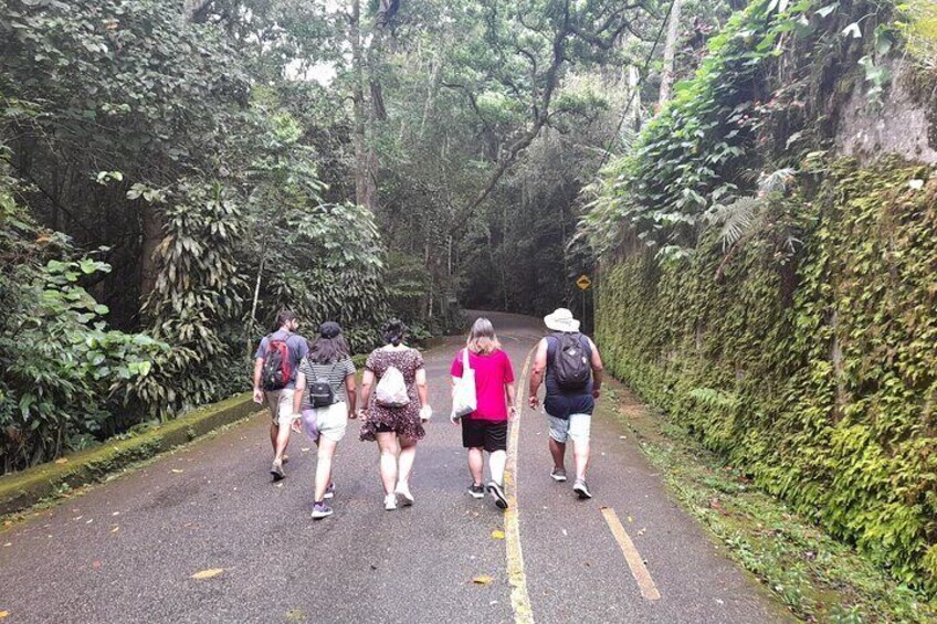 Private Hiking in Tijuca National Park