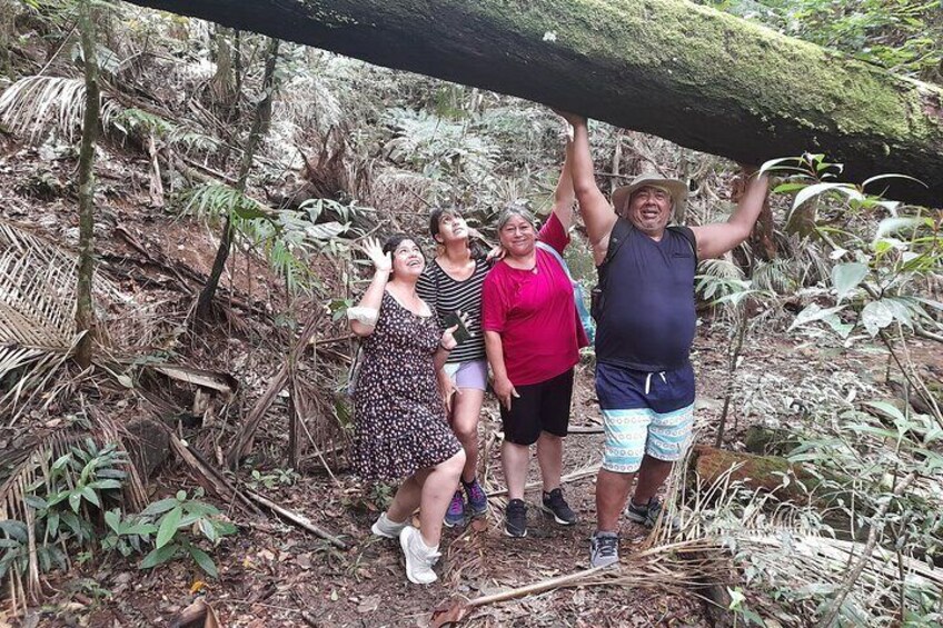Private Hiking in Tijuca National Park