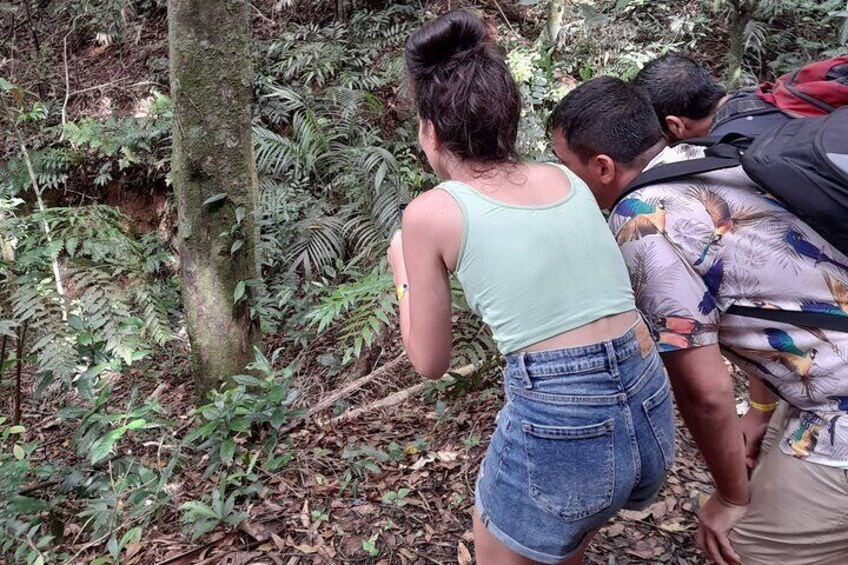 Private Hiking in Tijuca National Park