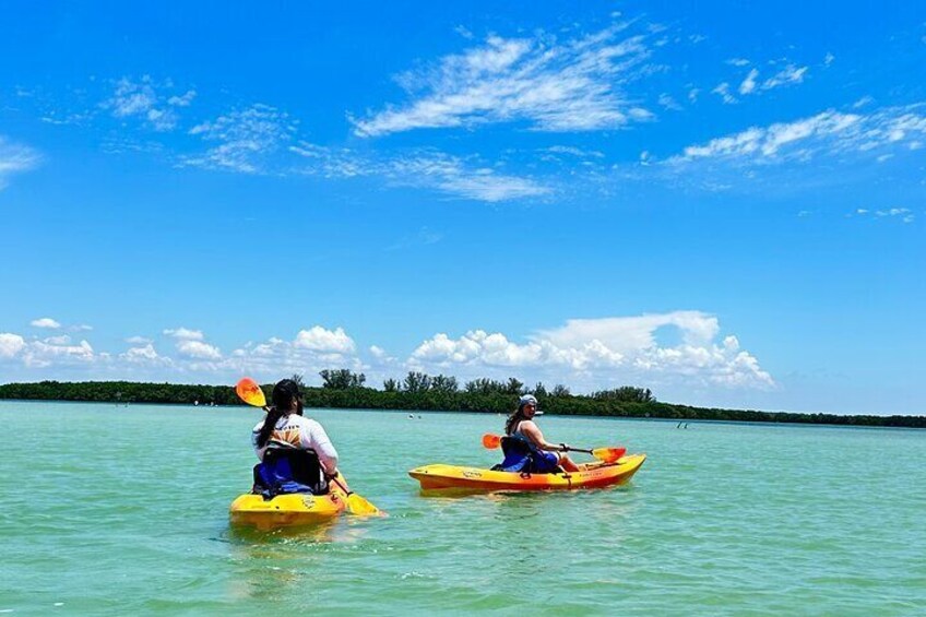 Private Guided Kayak Adventure via Mangrove to Shell key St. Pete