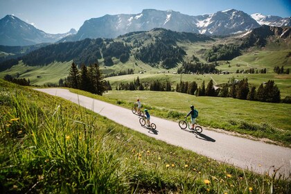 Adelboden: World’s Largest Scooterland Adventure