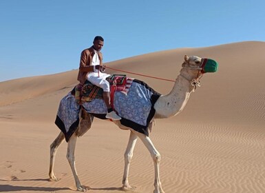 Liwa: Traditional Desert Camel Ride Adventure