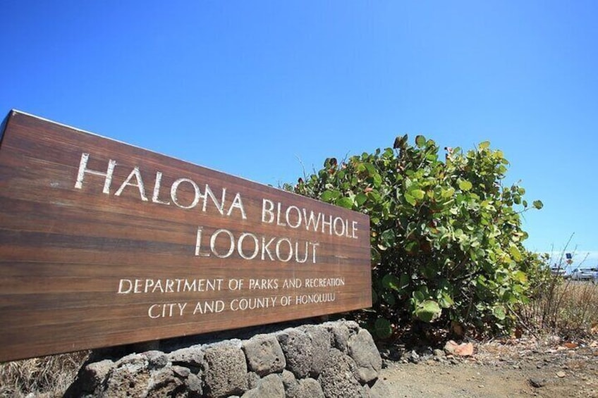 Hawaii Oahu Island Sightseeing & Food Combo Tour