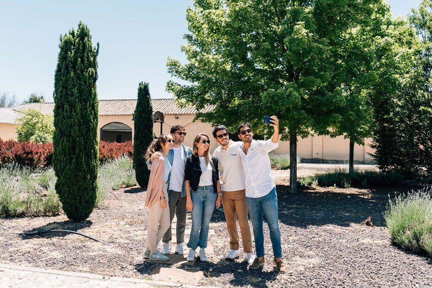 Toledo City Tour & Winery Experience with Wine Tasting from Madrid