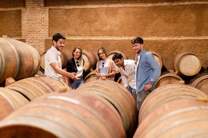 Toledo City Tour & Winery Experience with Wine Tasting from Madrid