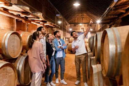 Toledo City Tour & Winery Experience with Wine Tasting from Madrid