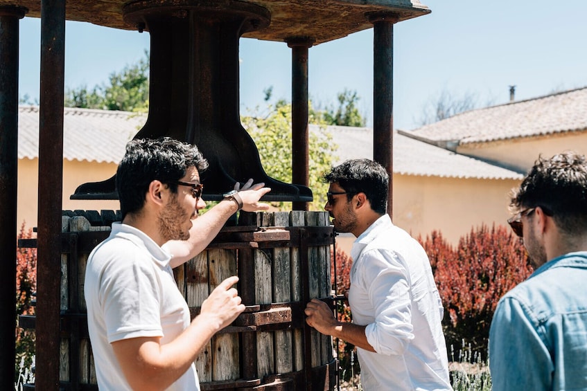 Toledo City Tour & Winery Experience with Wine Tasting from Madrid