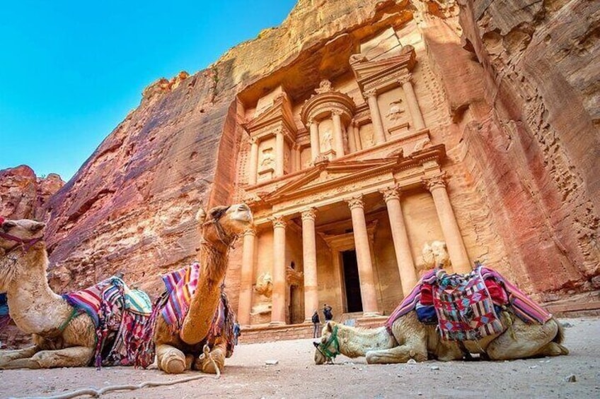 Private Guided Tour In Petra with hotel pick up.