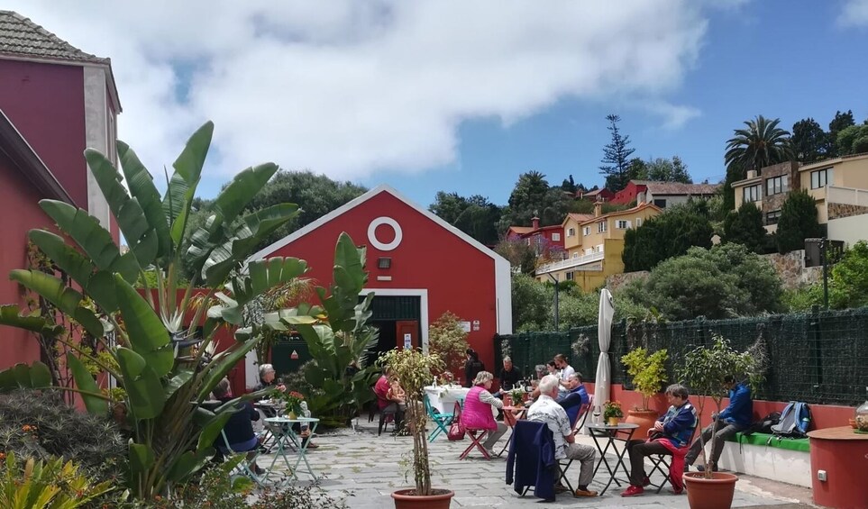 Gran Canaria: Winery Tour, Wine Museum, and Tasting