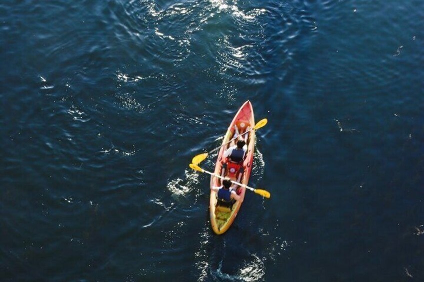 Guided Downtown to Barton Springs Kayak Tour 