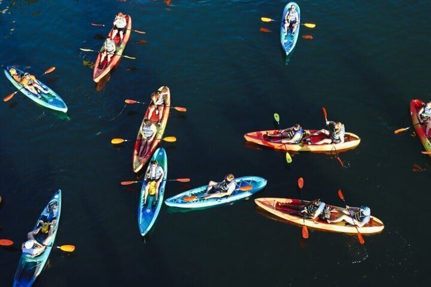 Guided Downtown to Barton Springs Kayak Tour 