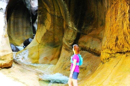 Drakensberg Mountains. Tugela Gorge and Amphitheatre Hike