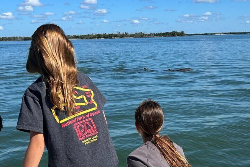 Watching the wild dolphins near Cape Romano