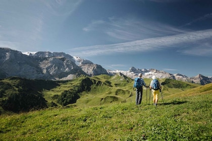 Vogellisi Mountain: Easy Panoramic Flower Trail Hike
