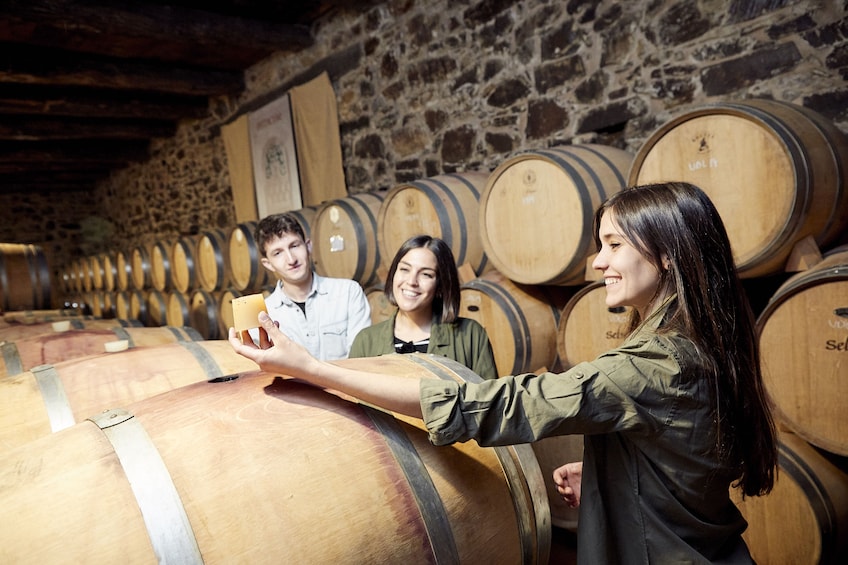 Winery tour and testing in El Bierzo, a great wine tradition