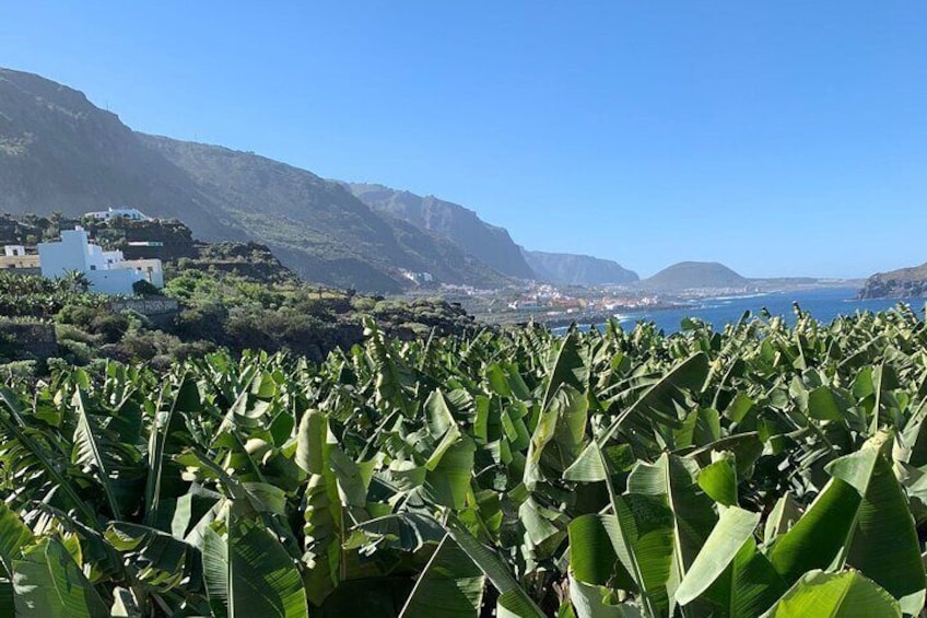 Full Day Tour with Certified Guide in Tenerife