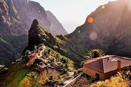 Excursion d'une journée complète avec guide certifié à Tenerife