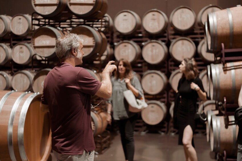 Winery Tour and Tasting in Rioja