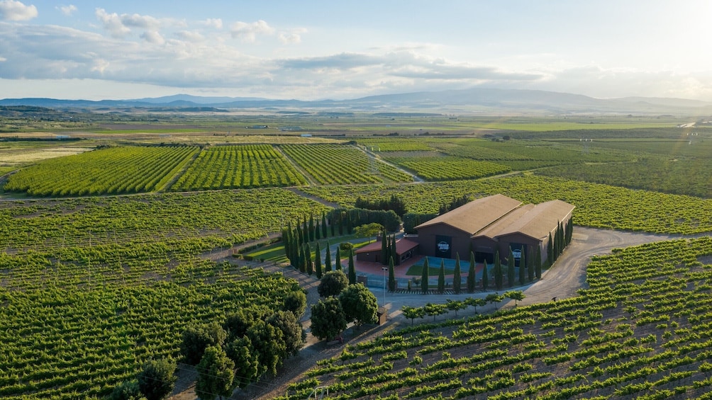 Winery Tour and Tasting in Rioja