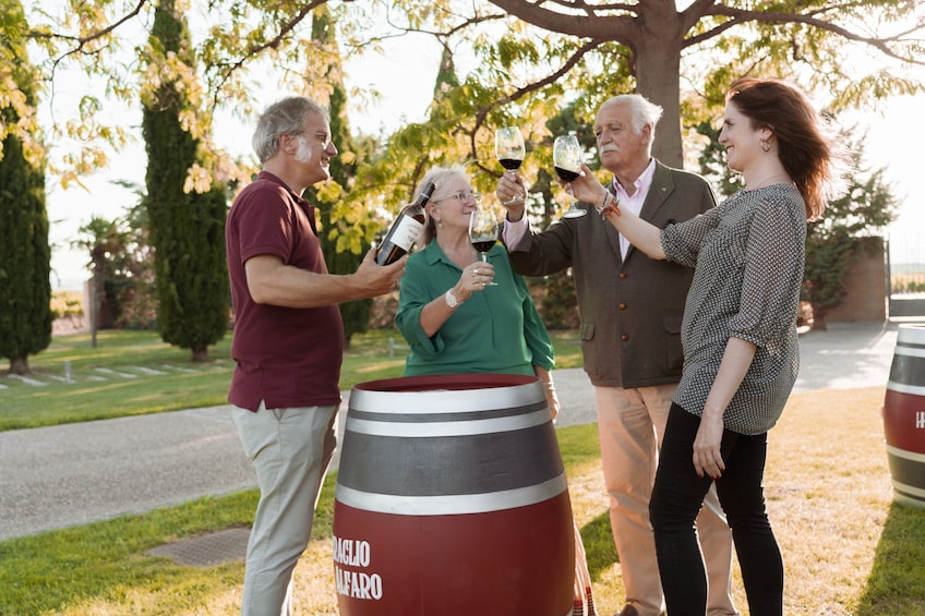 Winery Tour and Tasting in Rioja