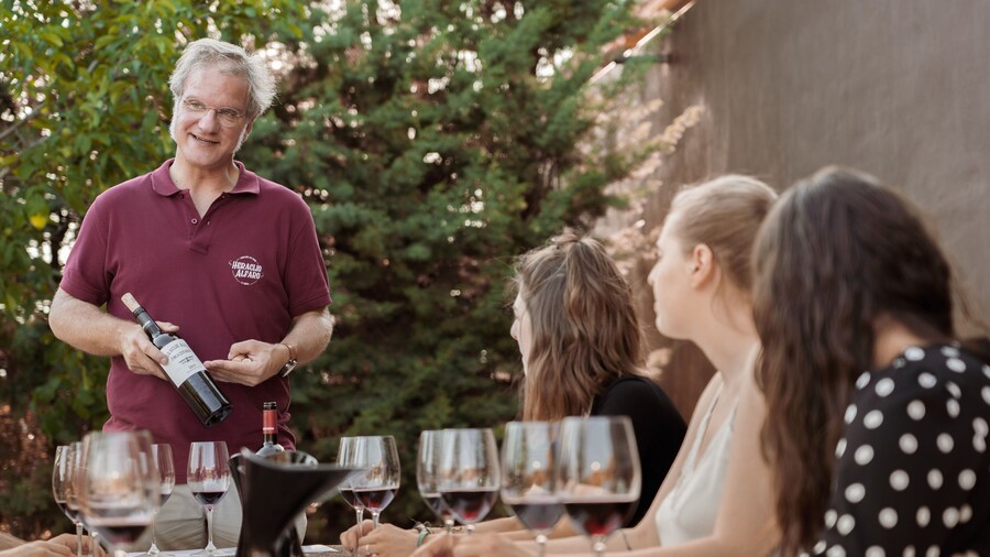 Winery Tour and Tasting in Rioja